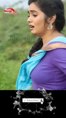 282px x 500px - Tamil Tv Seial Actress srithika tight dress boobs bounce â€“ DeepHot.Link